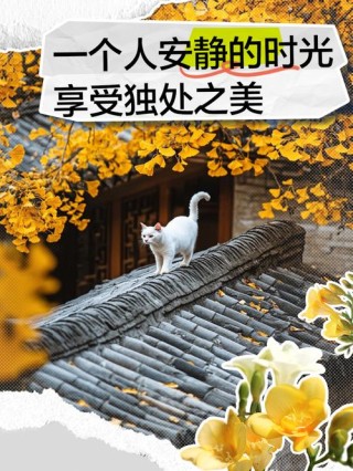 生活感悟文案｜愿你生活的每一个角落，都有细微安静的美~