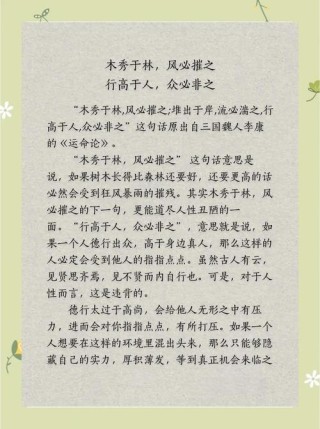 木秀于林，风必摧之，行高于人，众人必非之