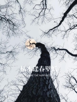 永有一棵树在等你