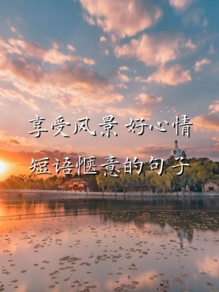午后阳光唯美意境句子 身边有你很充实很惬意
