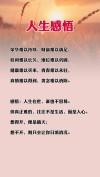 经典词语人生感悟，经典人生感悟，词语中的经典智慧
