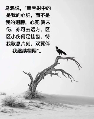 回首，心痛到荼蘼……