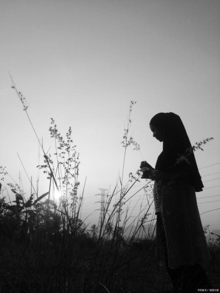 淡淡的感觉，淡淡地飘过