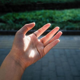 你手掌上有片阳光。