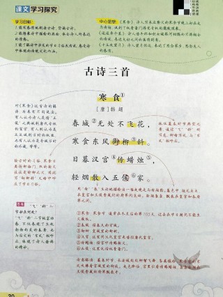 小学古诗词讲解（三）
