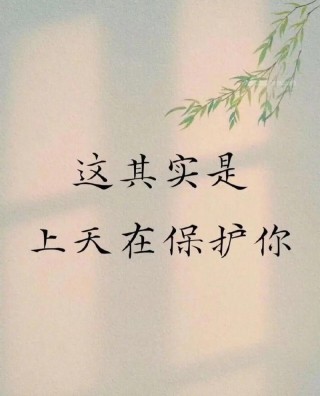 相遇并非偶然，冥冥之中命运自有安排