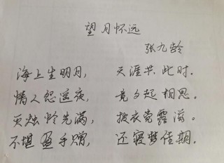 相思萦想长对月（打一医学词语）