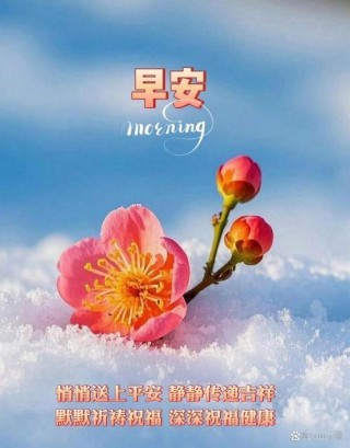 有一种人，只适合放在心里，悄悄的想，静静的念，默默的祝福
