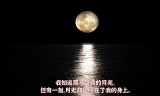 你是月亮我是霞