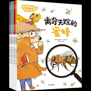 不会发光的萤火虫