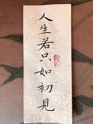 人生，若只如初见