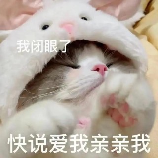 #艾特你想艾特的人