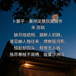 你若不独守凄凉，我亦不空乏寂寞