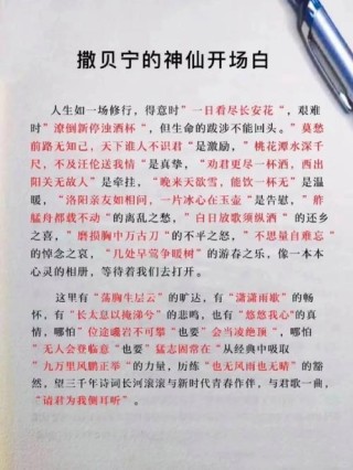 撒贝宁的经典语录