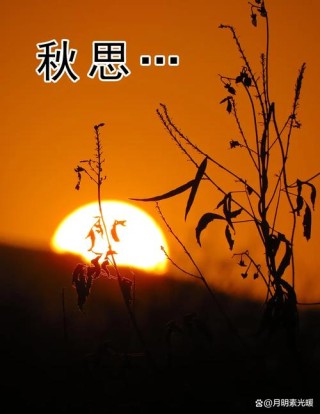 秋天，当见故人