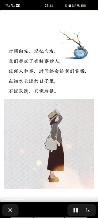 岁月，你留下来，我替你走