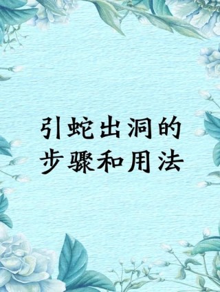 引蛇出洞