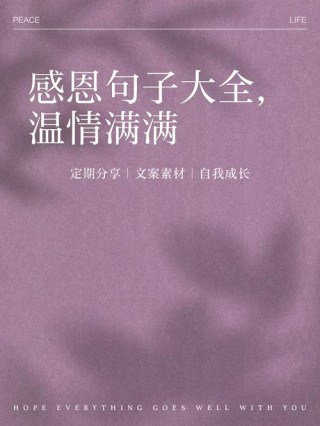 暖心的感恩语录，送给知恩图报的你