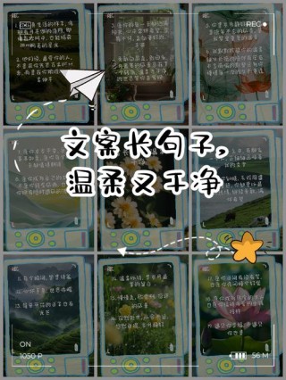 有诗意的优美长句子(精选10句) 优美长句子