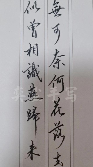 半已落笔半生花