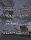 “那些拉你上岸的救赎文案”