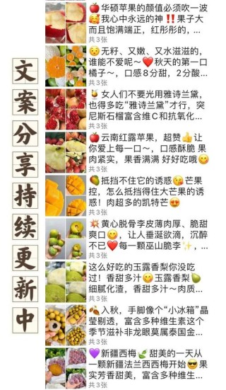 果子语录：一百零二