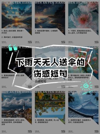 唯美的雨天撑伞的句子（雨天有伞的句子）