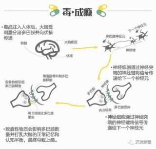 毒品带来的伤害