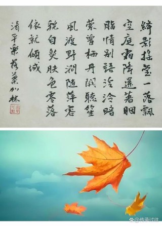 浅秋这么美，我来和你一同醉