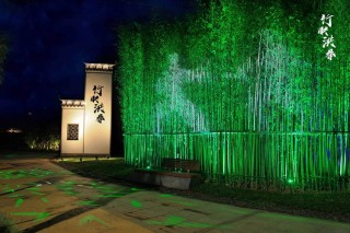 夏日竹园夜泉
