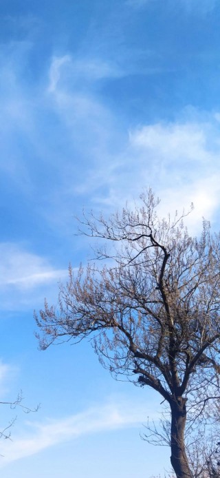 冬日晴空，自在悠然