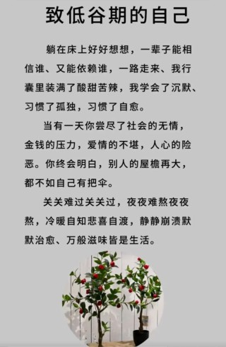 致自己的人生感悟，人生感悟，致自己前行之路的启示