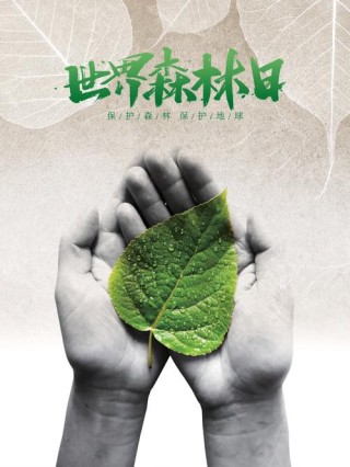 世界森林日 | 每一片新绿都值得被赞颂