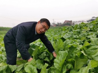 涪陵榨菜周斌全：坚持只做一件事，3块钱的榨菜一年卖出15亿