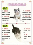 养过“英短”的主人都说好！全凭这几大优点
