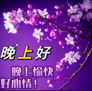 我的夜，我的祝福
