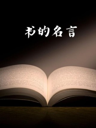 与书有关的名言名句，书香世界，名言中的智慧与启示