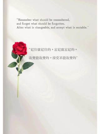 麦克阿瑟名言励志短句 麦克阿瑟段子