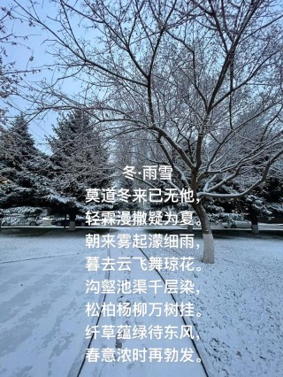 雨夹雪的唯美句子，诗意舞动的冬日之美