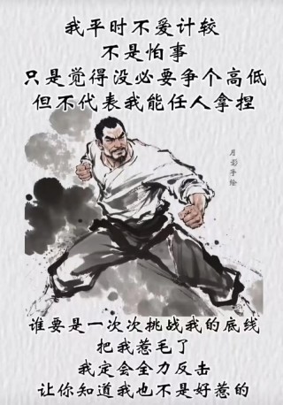 往后余生，做个不好惹的人