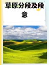 前去草原 （打一字）