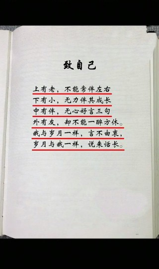 容颜易老的唯美句子