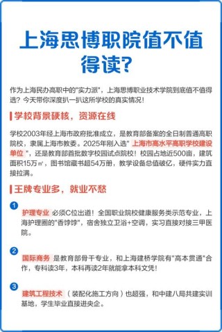 上海思博职业技术学院2025年在河北录取分数线是多少（2025~2023近三年分数位次）