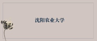 沈阳农业大学2025年在陕西录取分数线是多少（2025~2023近三年分数位次）