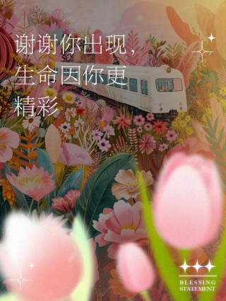 感恩岁月，感谢生命