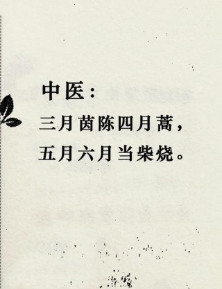 绿化时逢三月天（打一医学词语）