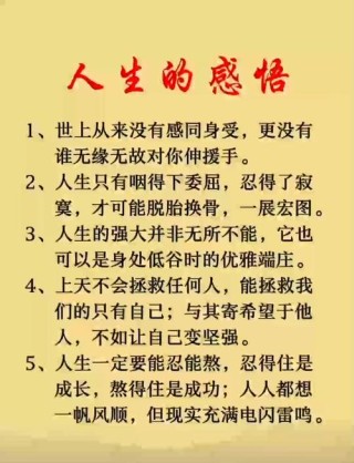 心灵感悟人生哲理，心灵感悟，人生哲理的深度探索