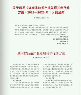 广西油茶产业做成百亿元产业大局已定