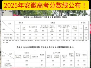 临沂大学2025年在安徽录取分数线是多少（2025~2023近三年分数位次）