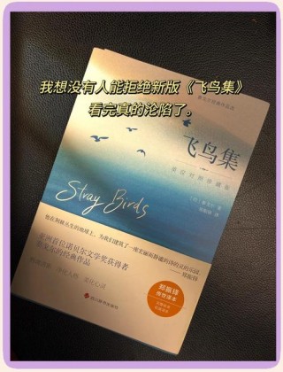 《飞鸟集》-239/我心幽幽